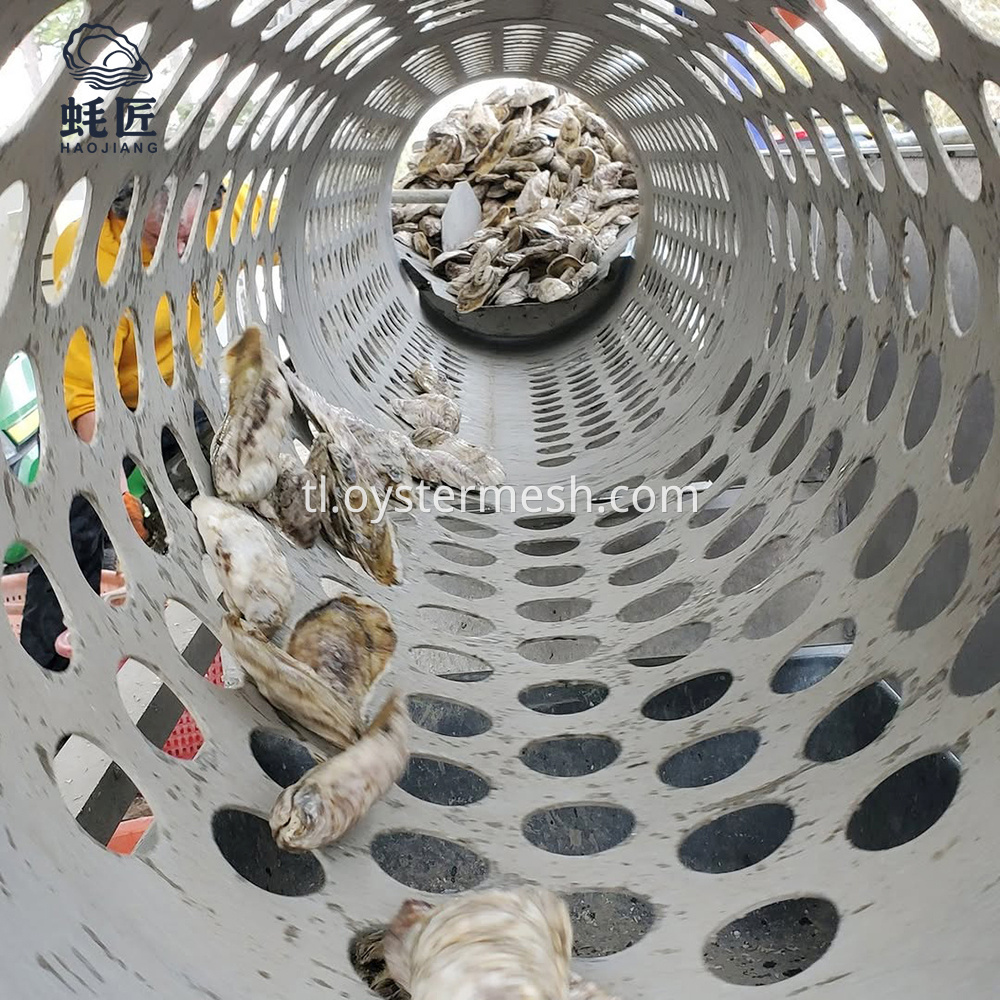 Stainless Steel Oyster Grader
